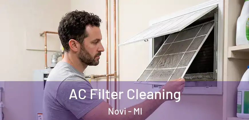 AC Filter Cleaning Novi - MI