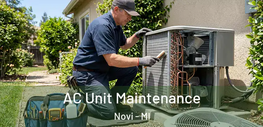 AC Unit Maintenance Novi - MI